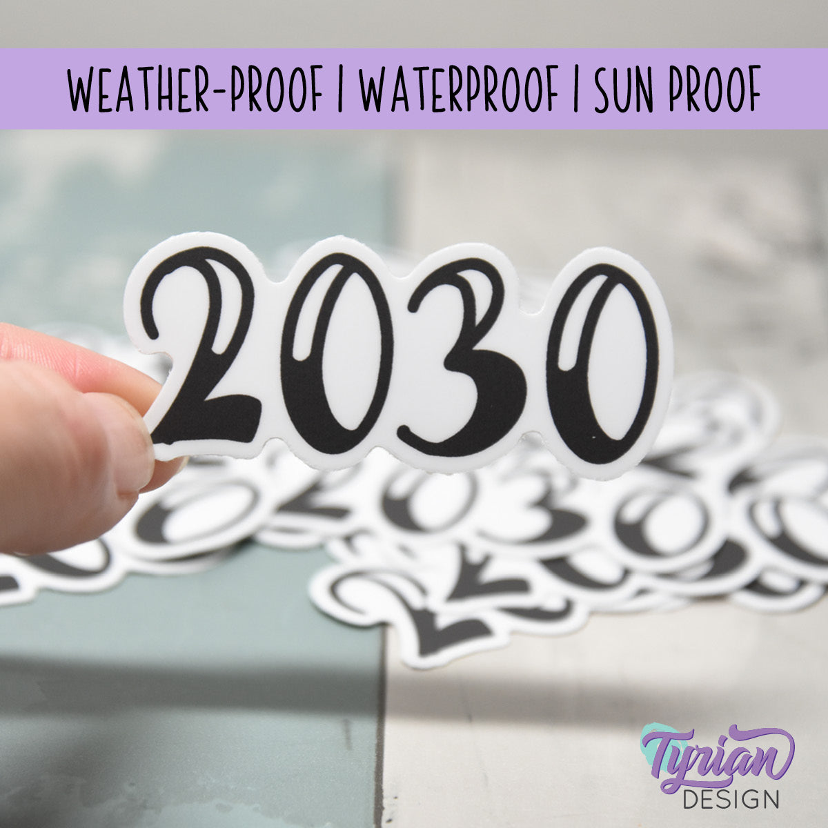 2030 Vinyl Sticker | 2.5 x 1 inch