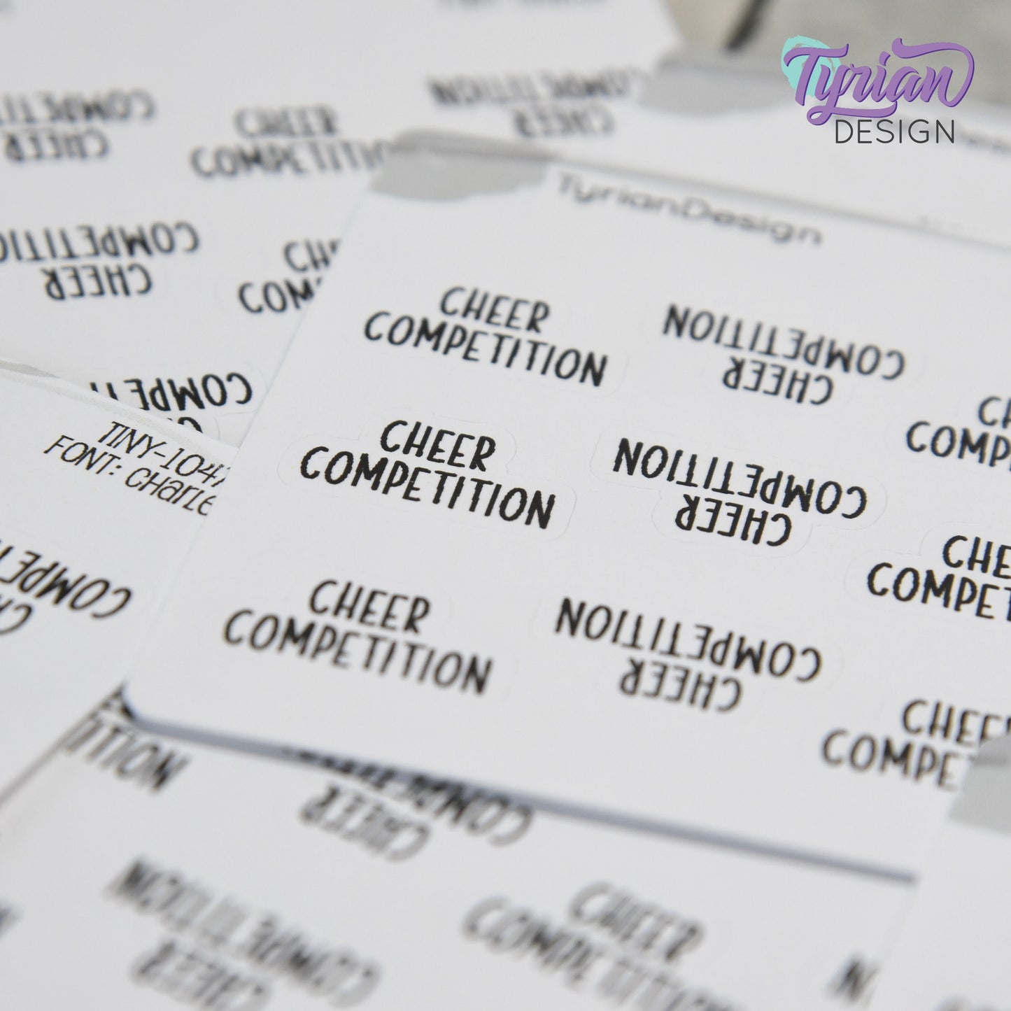 Tiny Cheer Competition 