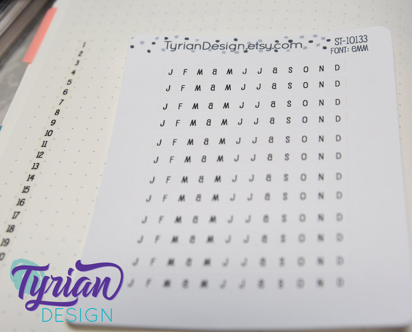 Monthly Horizontal Stickers for tracking | 12 Stickers | 5mm x 60mm Each