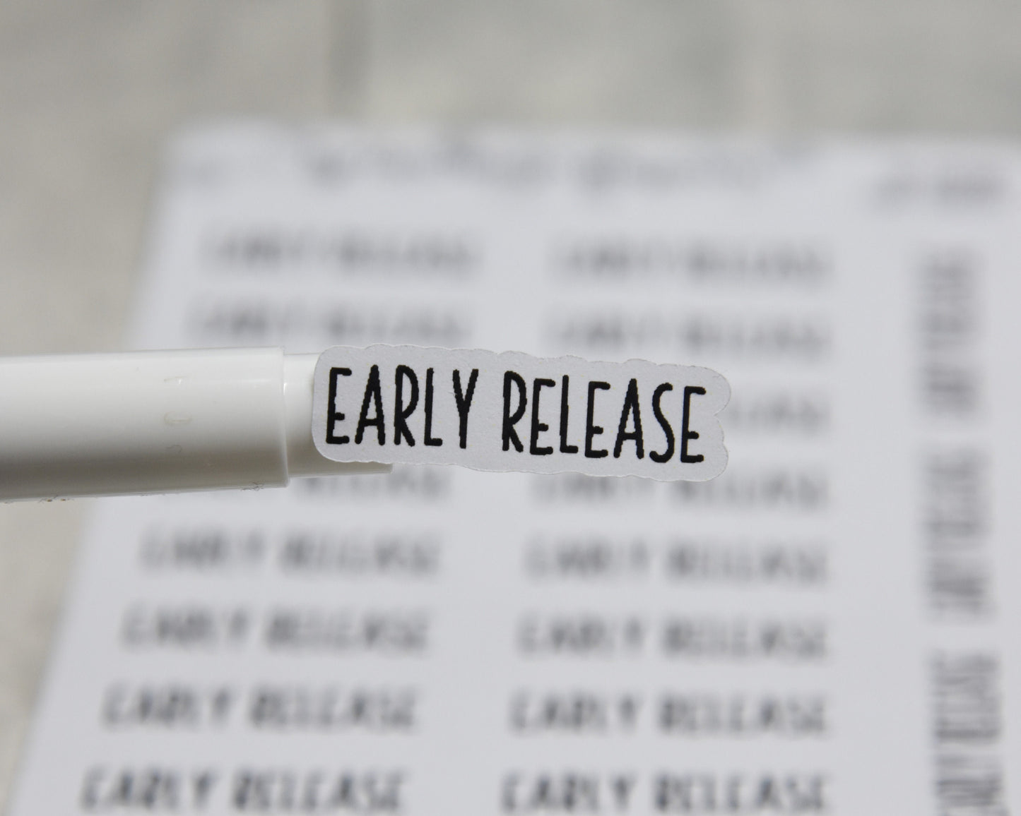 Early Release Stickers| 19 Stickers | 1.17" x .35" each| Charley Font
