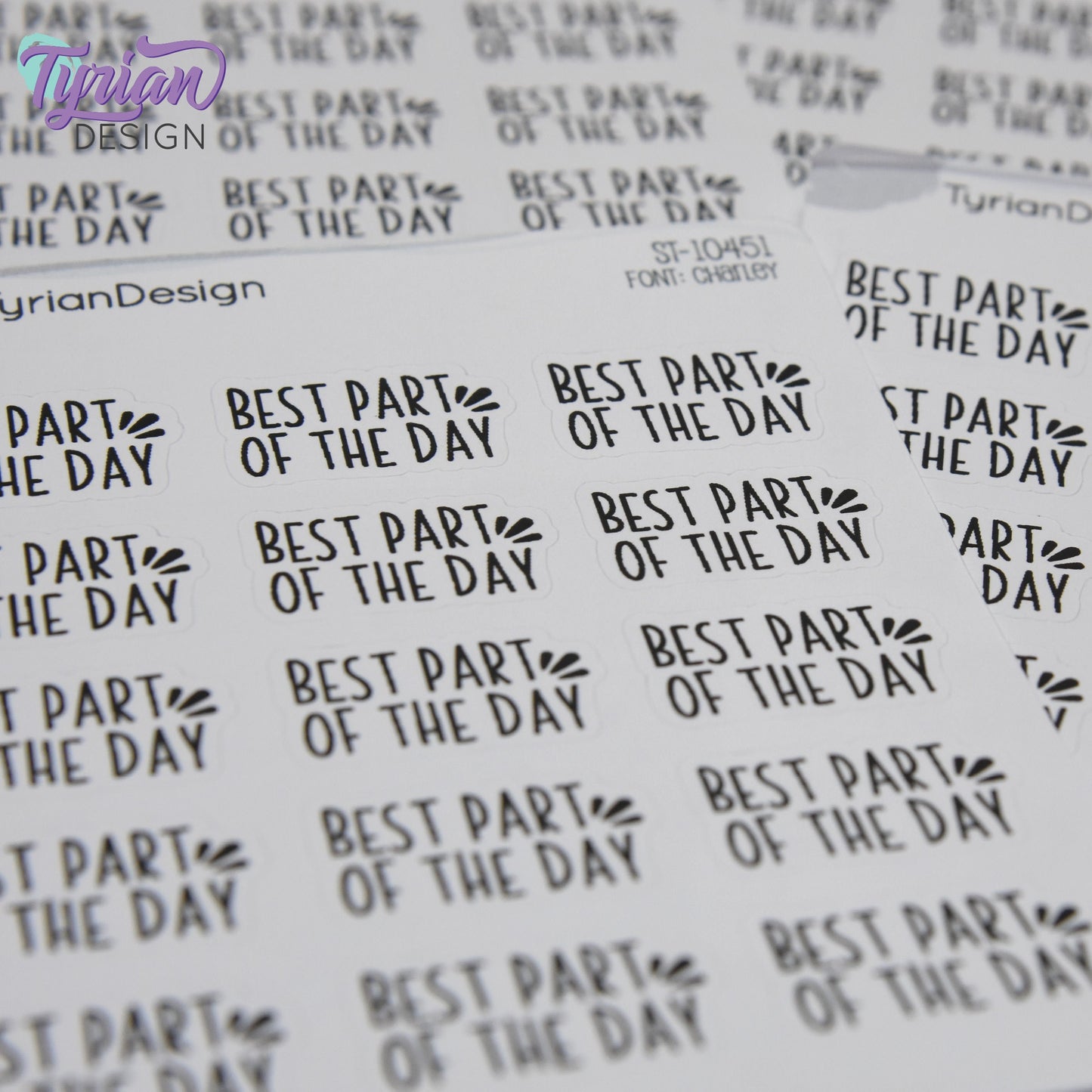 Best Part of the Day Stickers  | 15 Stickers | 1." x .6" Each | Charley Font