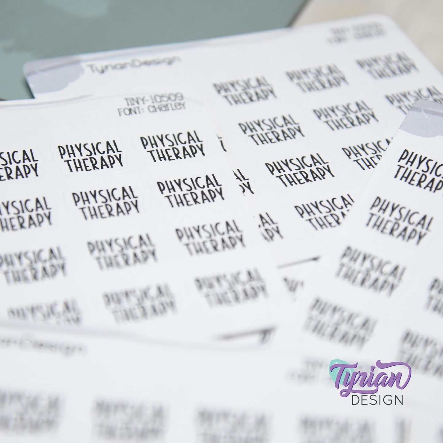 Tiny Physical Therapy Stickers | 20 Stickers | .59 x .46" each | Font: Charley