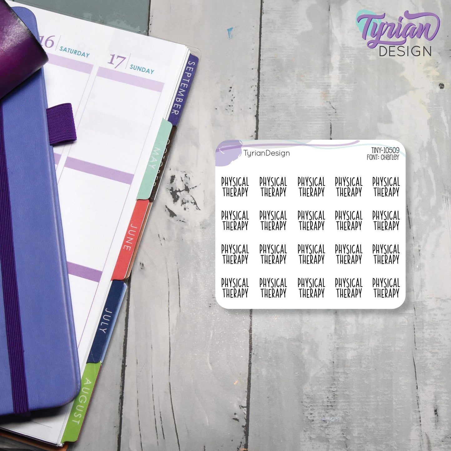 Tiny Physical Therapy Stickers | 20 Stickers | .59 x .46" each | Font: Charley