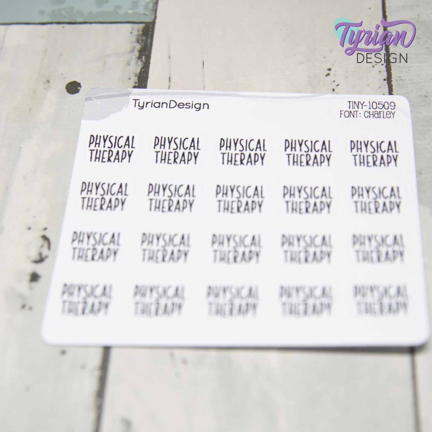 Tiny Physical Therapy Stickers | 20 Stickers | .59 x .46" each | Font: Charley